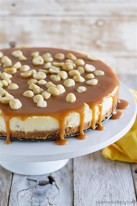white-chocolate-cheesecake-with-macadamia image
