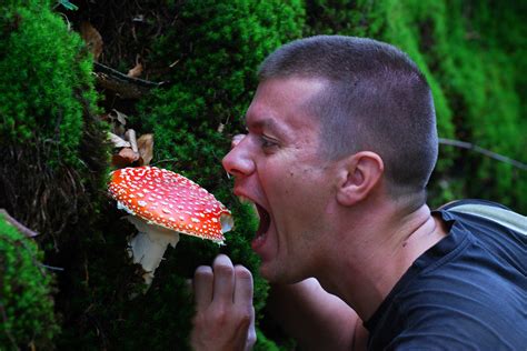 top-7-craziest-mushrooms-russians-love-to-eat-russia image