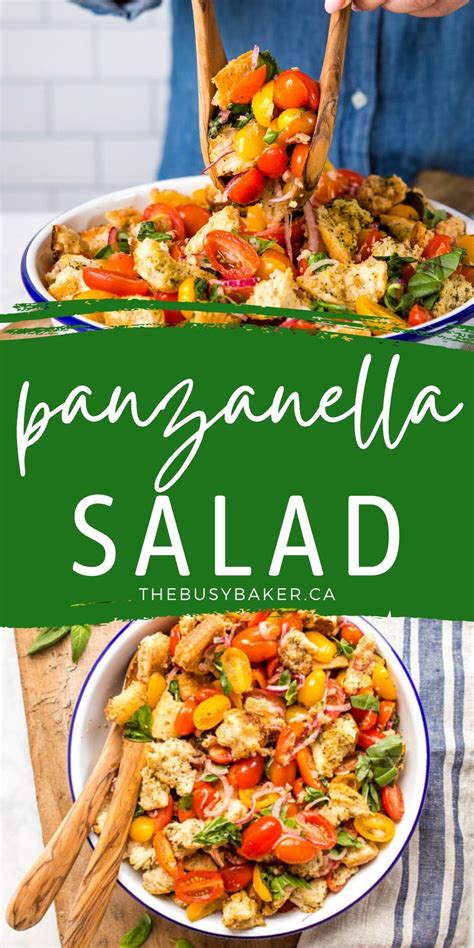 panzanella-salad-italian-bread-salad-recipe-the-busy image