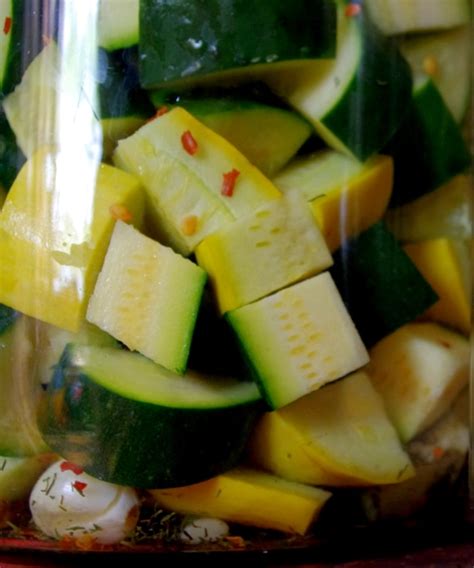 make-old-fashioned-brine-fermented-pickles-like-your image