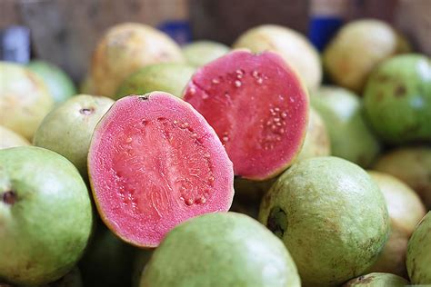 pink-guava-our-guide-to-this-tasty-pink-tropical-fruit image