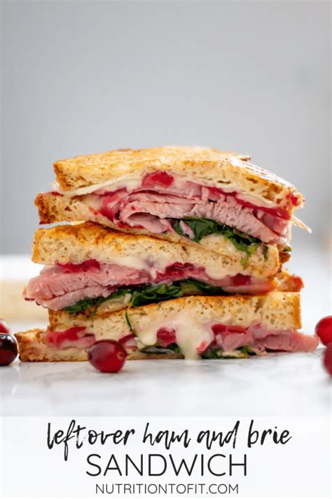 leftover-ham-and-brie-sandwich-with-cranberry-sauce image