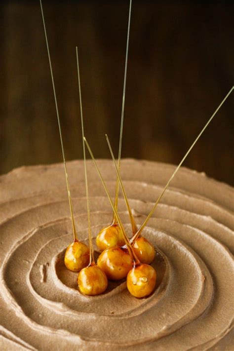 how-to-make-candied-hazelnuts-liv-for-cake image