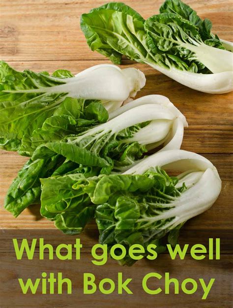 what-goes-well-with-bok-choy-secrets-of-cooking image