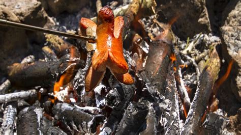 campfire-recipes-for-delicious-meals-outdoors-survival image