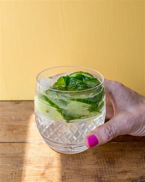 cucumber-mint-gin-and-tonic-recipe-the-mom-100 image
