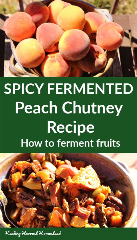 fermented-cinnamon-peach-recipe-spicy-easy-and image