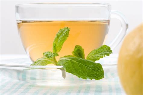 fresh-spearmint-tea-recipe-updated-2023 image