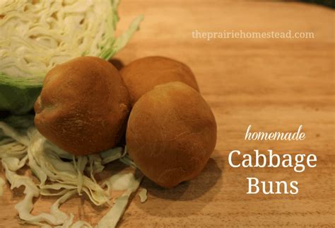 how-to-make-cabbage-buns-aka-bierocks-or-runzas image