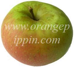 apple-golden-reinette-tasting-notes-identification image