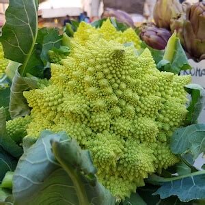 pasta-with-roman-broccoli-recipe-food-tours-local image