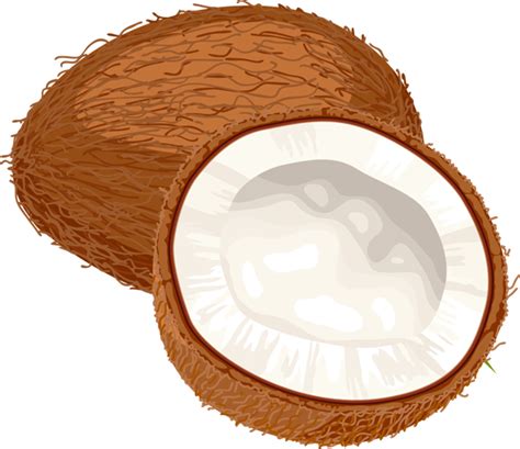 malay-coconut-milk-rice-nasi-lemak-aroma-asian image