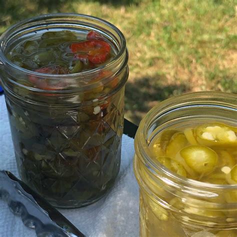 best-homemade-pickles-allrecipes image