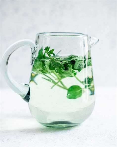 easy-mint-water-recipe-a-couple-cooks image