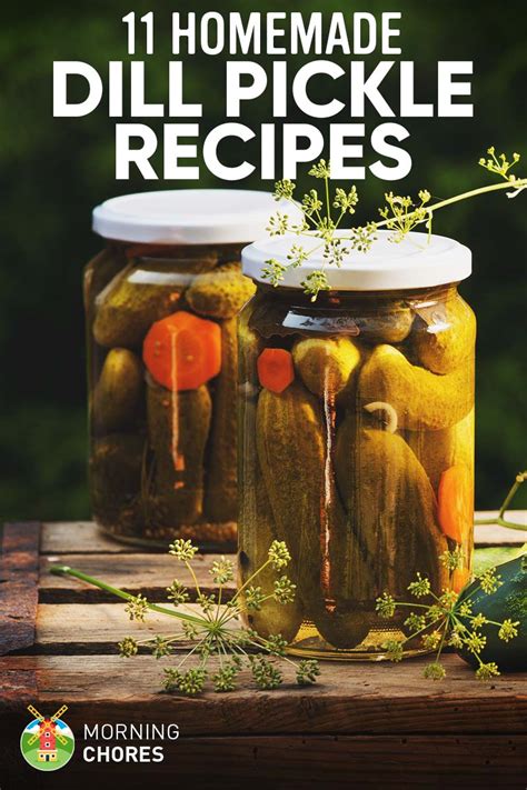 12-recipes-to-make-the-perfect-dill-pickle-11-recipes-to image
