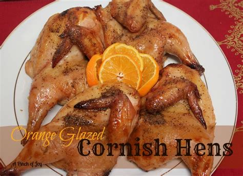 orange-glazed-cornish-hens-a-pinch-of-joy image