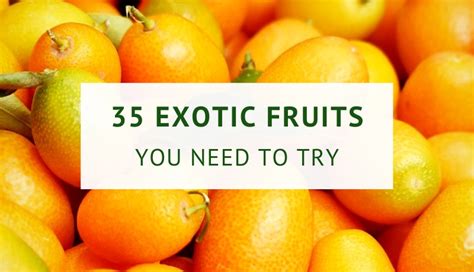 35-exotic-fruits-you-need-to-try-healthy-food-tribe image