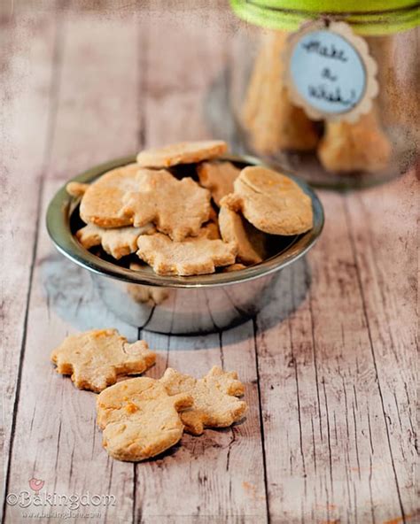 10-cheesy-dog-treat-recipes-to-spoil-your-pup-my image