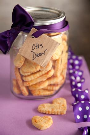 cheesy-dog-treats-a-homemade-dog-biscuit-by-paula-deen image