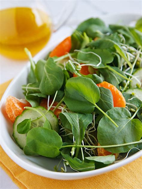 watercress-salad-with-oranges-and-cucumber-the image
