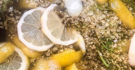 elderflower-lemon-vanilla-cordial-recipe-natalie image