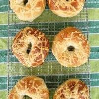 the-best-asiago-bagel-recipe-pastry-chef-online image