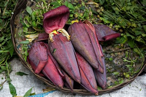 what-are-banana-flowers-and-how-are-they-used-the image