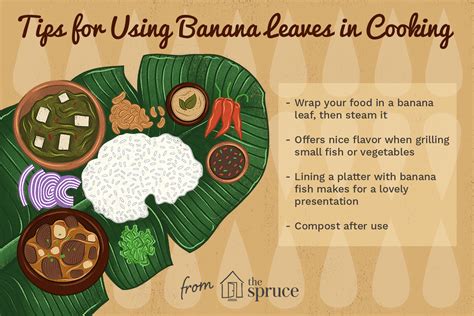 the-essential-guide-to-cooking-with-banana-leaves-the image