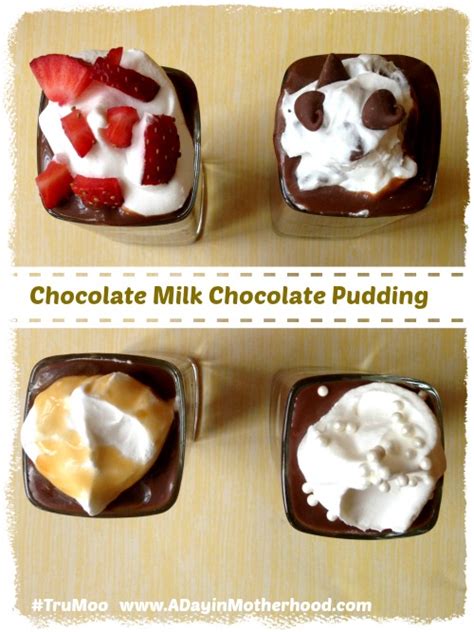 chocolate-milk-chocolate-pudding-a-day-in image
