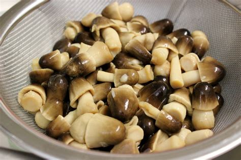 marinated-canned-mushrooms-olgas-flavor-factory image