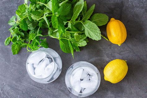 citrus-and-mint-infused-water image
