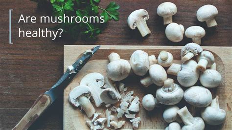 are-mushrooms-good-for-you-healthline image