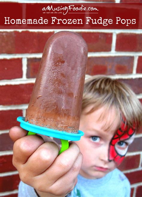 homemade-frozen-fudge-pops-amusing-foodie image
