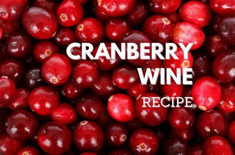 cranberry-wine-recipe-bright-and-fruity-home image
