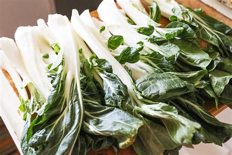 crunchy-bok-choy-salad-perfect-party-food-pip-and image