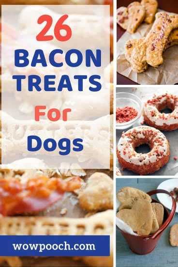 26-super-easy-bacon-treat-recipes-will-make-your-dog image