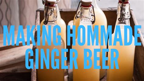 how-to-brew-ginger-beer image