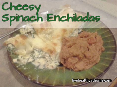 easy-cheesy-spinach-enchiladas-hubpages image