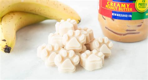 yogurt-peanut-butter-banana-dog-treats image