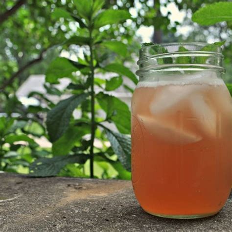 best-rhubarb-tea-recipe-how-to-make-rhubarb-iced image