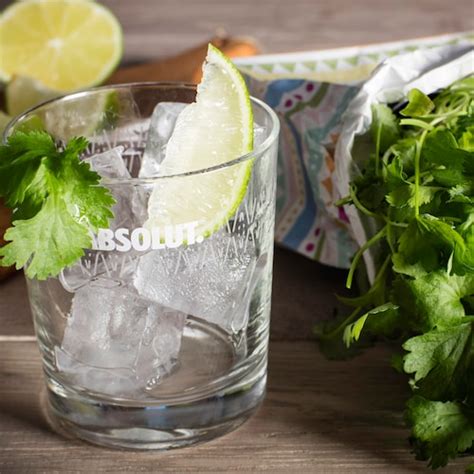 drinks-cocktails-with-absolut-cilantro-absolut-drinks image