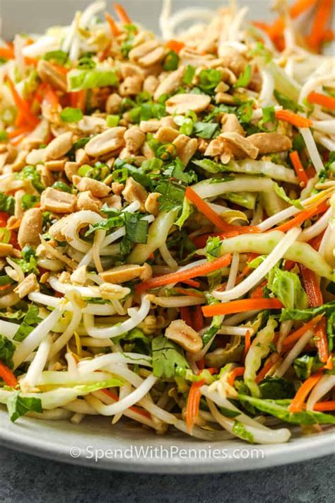 bean-sprout-salad-fresh-crispy-spend-with-pennies image