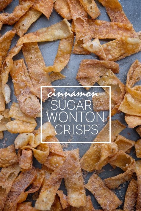 cinnamon-sugar-wonton-crisps-shutterbean image