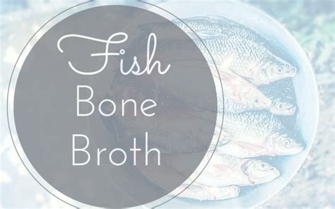 fish-bone-broth-what-you-need-to-know-facts-tips image