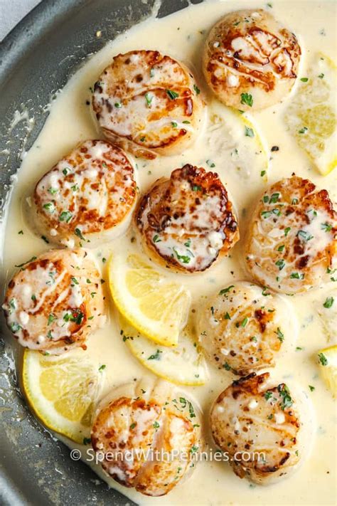 scallops-in-lemon-wine-sauce-spend-with-pennies image