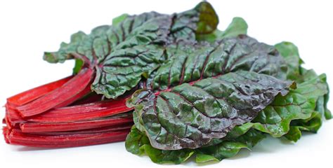 red-swiss-chard-information-recipes-and-facts image