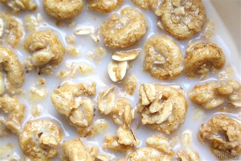 review-honey-nut-cheerios-granola-snack-cerealously image