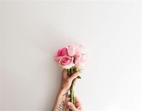how-to-use-rose-petals-for-their-skin-benefits-byrdie image