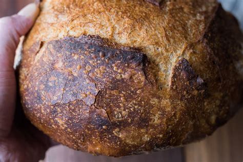 beginners-sourdough-bread-the-perfect-loaf image