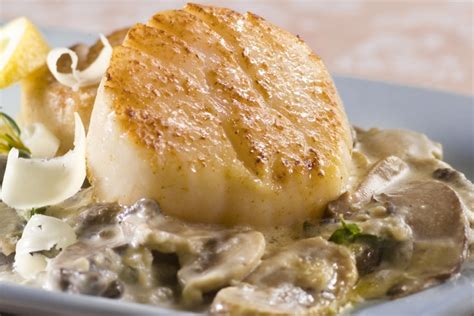 scallops-with-wild-mushrooms-and-canadian-whiskey image
